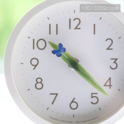 clock-tomarigim
